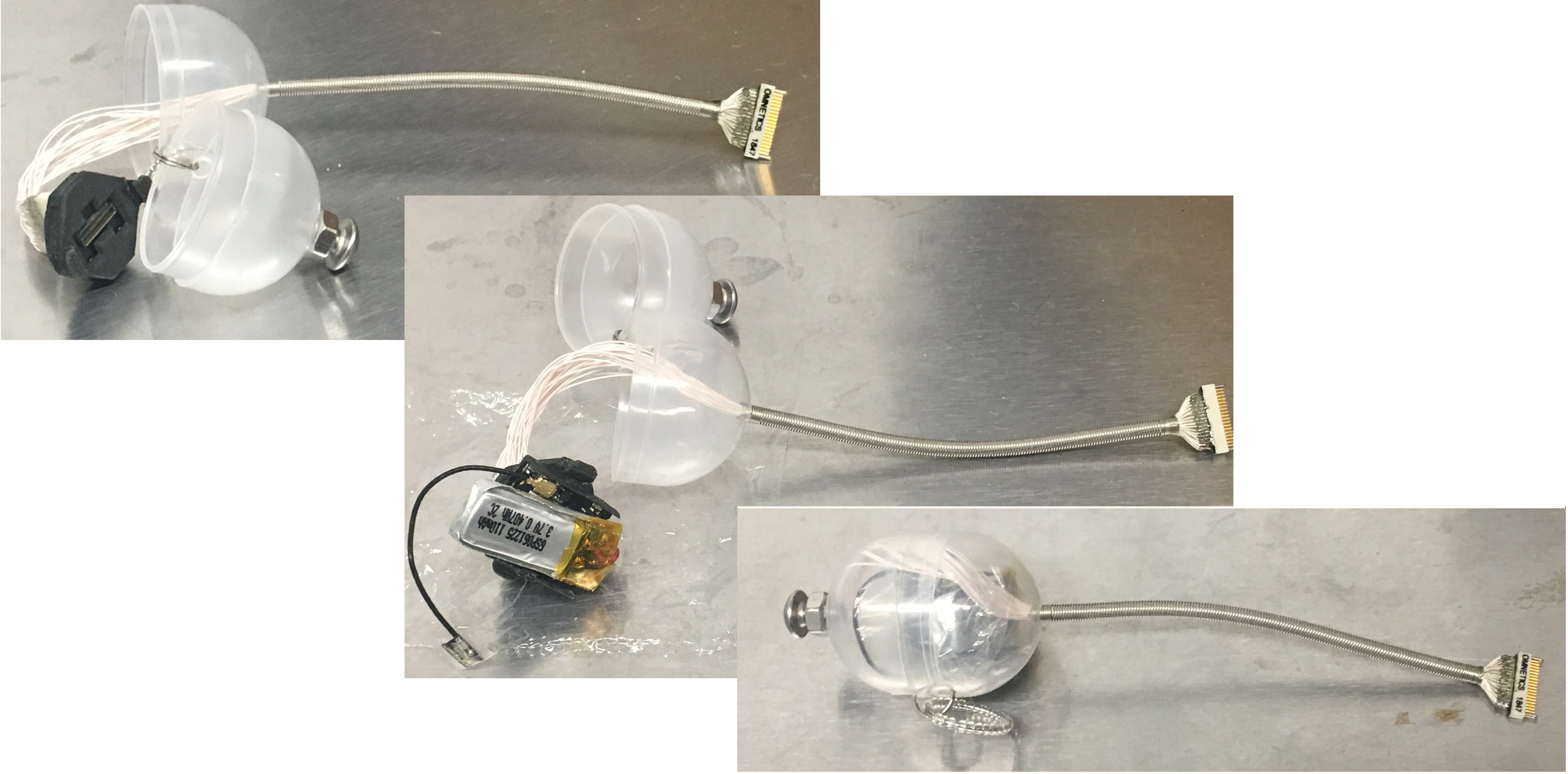 Container-Cable Assembly with Multichannel Capabilities