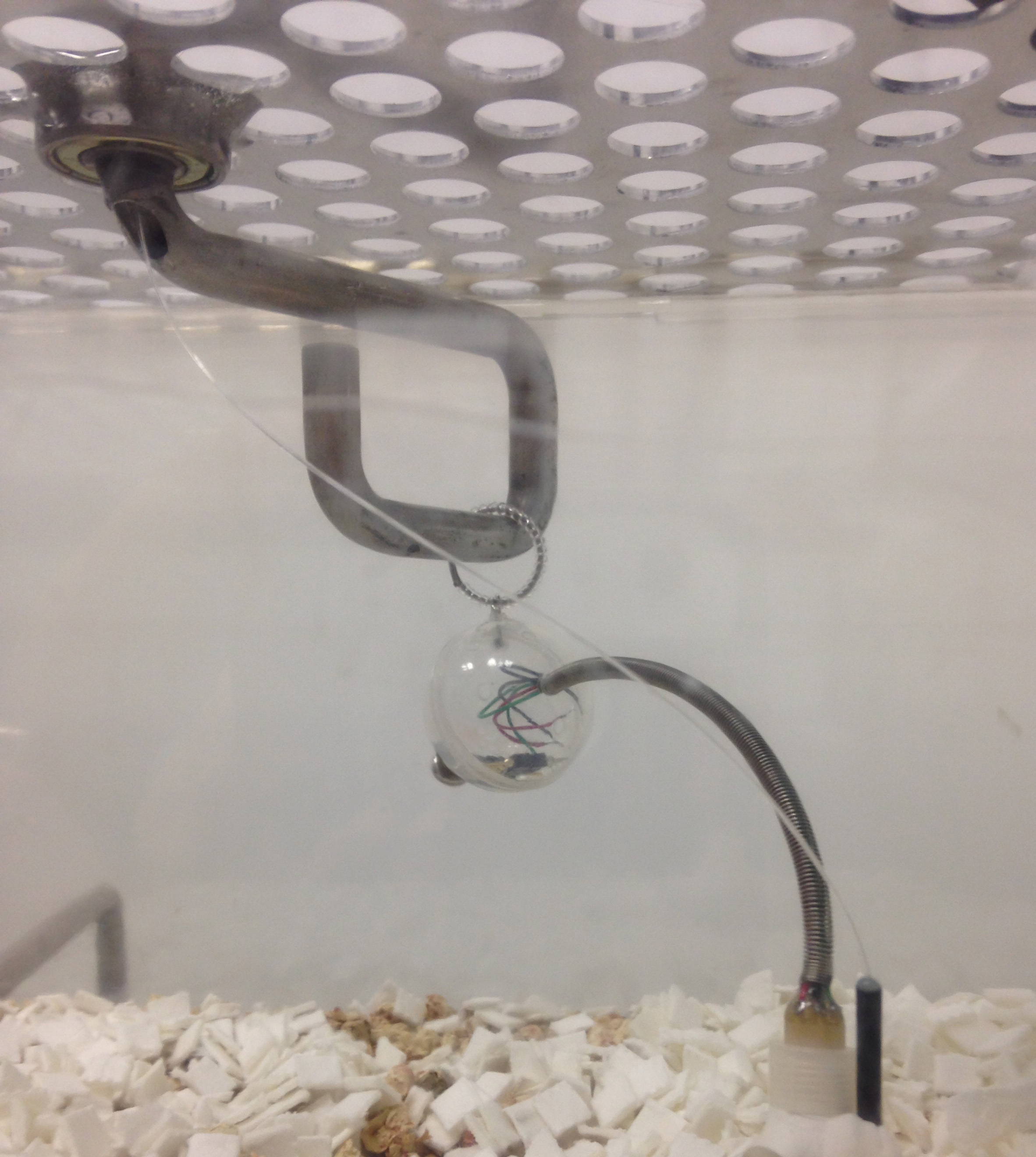 Optical Fiber